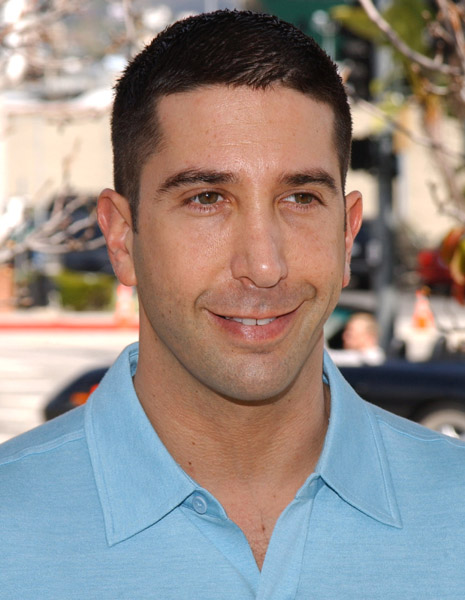 Photos David Schwimmer 7963762vanzant320200682349am4r