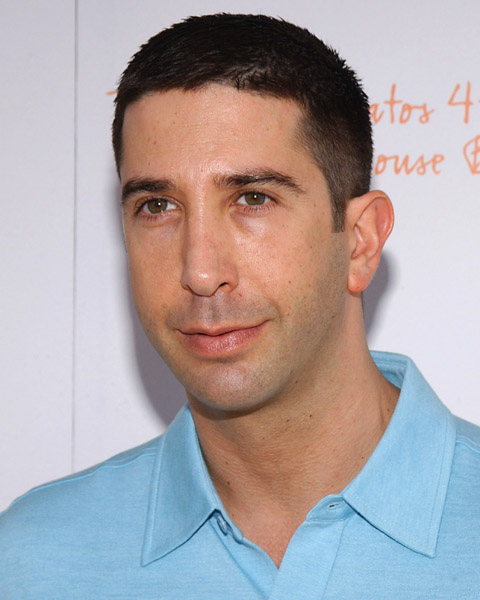 Photos David Schwimmer 7963763vanzant320200682352am6q