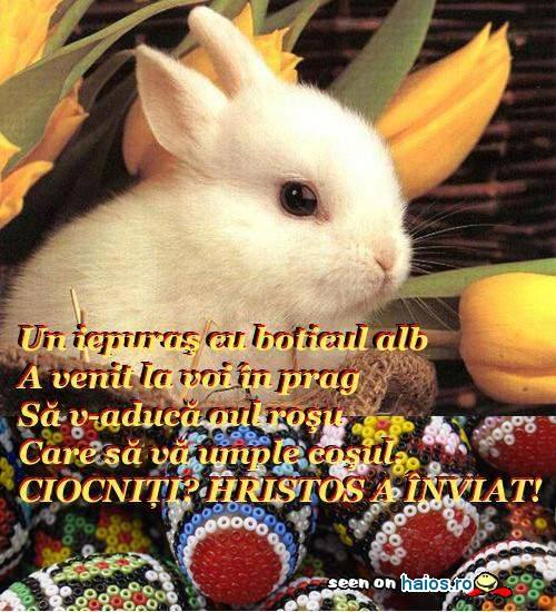 PASTE FERICIT / HAPPY EASTER  Mesaje_messages_07925020012553468284ad3128cc1868014551713