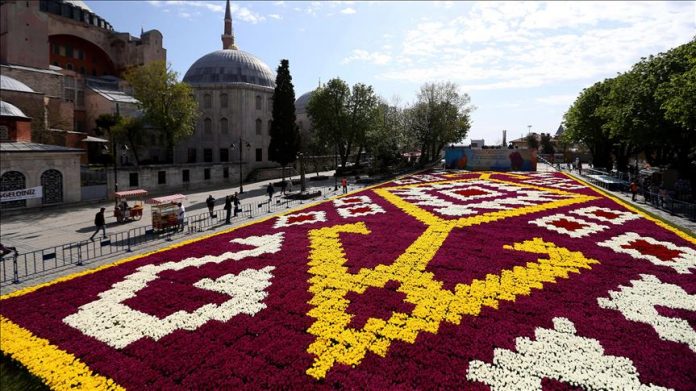 Tapet me tulipanë në Xhaminë Blu në Stamboll Tulipanet-696x391