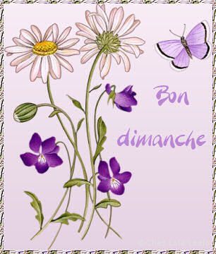 enchantee tous le monde ! - Page 9 Vfek513g