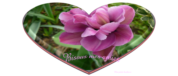  Ƹ̵̡Ӝ̵̨̄Ʒ ♥ Bonjour...Bonsoir...Quoi de neuf??? ♥ Ƹ̵̡Ӝ̵̨̄Ʒ  - Page 40 3acc338f