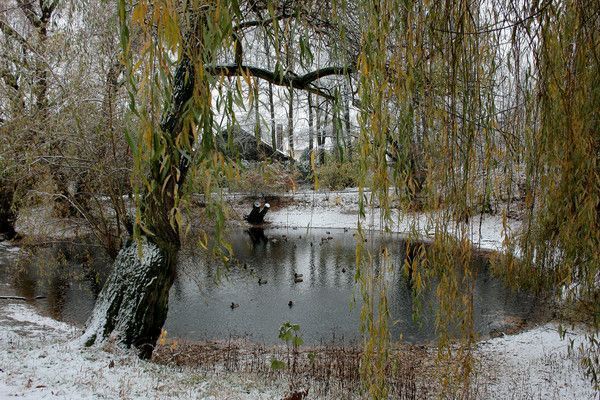 L'HIVER EN FÊTE 4ff883d9