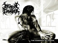 Infernal Tenebra - Death metal Cover_105
