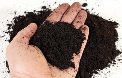 Kako pripremiti i što staviti u kompost Kompost_compost_dirt_shutter