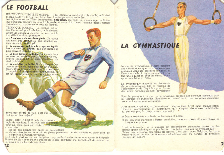 vive - La brochure "Vive le Sport" Vls11