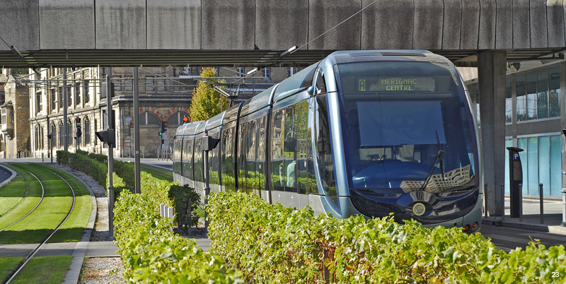 Celui qui courait après le tram Tram%20(9)