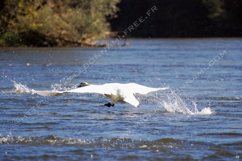 Balade en Dordogne Balade%20en%20Dordogne%20(40)