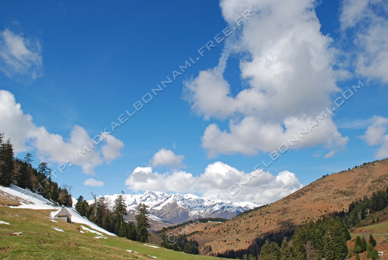 Un printemps en vallée d'Aure Photo%20(32)