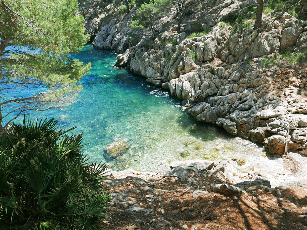 7 Jours en Juin 21 à Mallorque en télétravail-rando P1120006_LD1000