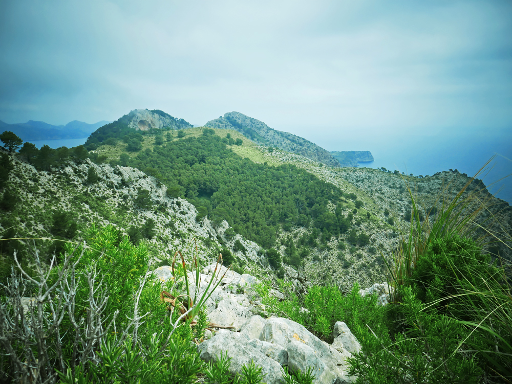 7 Jours en Juin 21 à Mallorque en télétravail-rando P1120183_LD1000