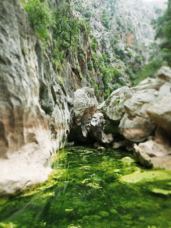 7 Jours en Juin 21 à Mallorque en télétravail-rando P1120580_LD750