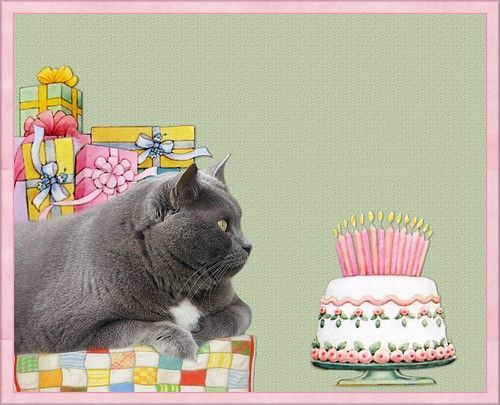 Bon anniversaire Tatacat ! Pvxj7opi