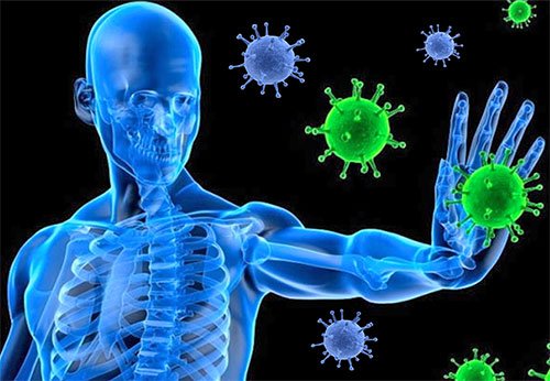 LỢI ÍCH TUYỆT VỜI CỦA NHO HỮU CƠ CHO MẸ BẦU The-immune-system-full