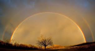 Co-Creation Rainbow-tree