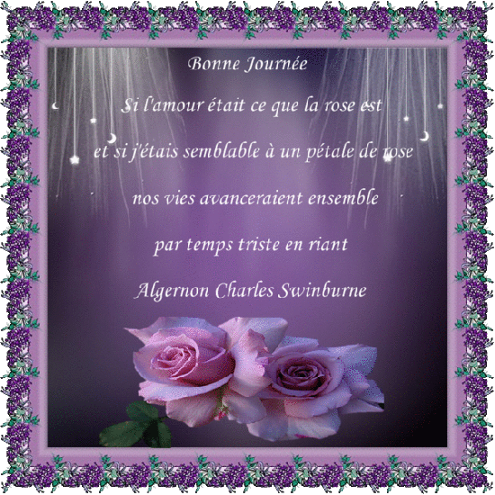 Petites citations ....... 893231882424001427237095