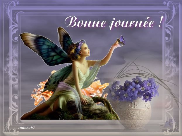 Bonjour / Bonsoir Juillet 2016  Cadre-parme-fleurs