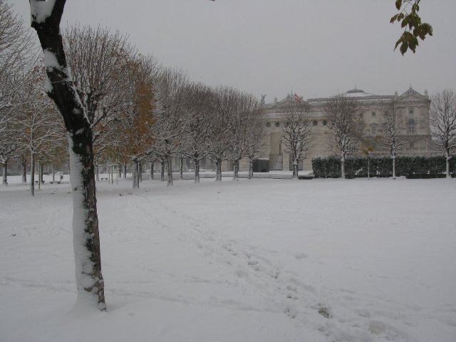   Snowing-vienna-scene