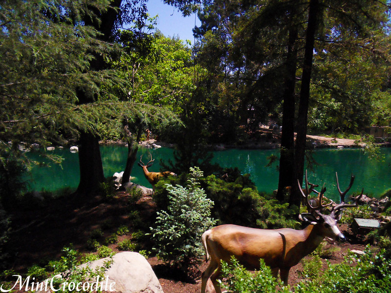 [Disneyland Park] Rivers of America en travaux 859090289_F4Nea-L