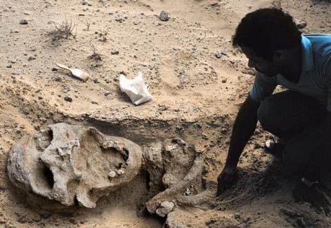 Um Império de Gigantes Ossada_gigante