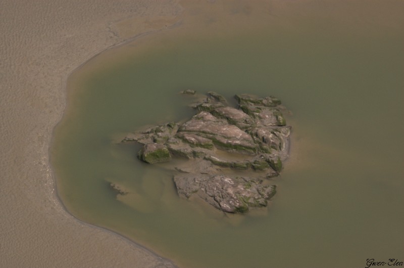 Visite d'Aligator Bay + Mont Saint Michel MareMer