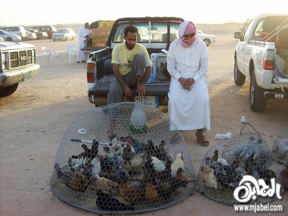 سوق الاربعاء بمدينة المبرز بالأحساء‏ Domain-acee16cb8c