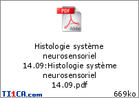 Ronéo 1 - Histologie du système neurosensoriel (I) - Boudard - 14.09.16 01oxngp3