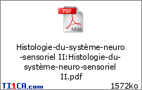 Ronéo 2 - Histologie du système neurosensoriel (II) - Boudard - 14.09.16 1w6hpvlu