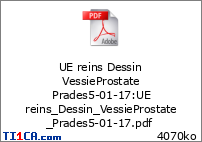 Ronéo 2 Vessie Prostate Prades 05/01/17 Dyxn2p0p