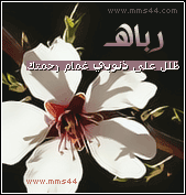 صصور  ، ♥ mms - صفحة 2 Mms.nkh5.com_15