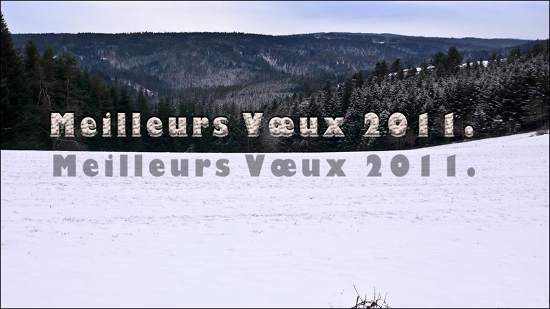 Excellente année 2011  Voeux_2011_t.800