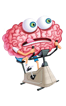 مرن عضلات مخك…في 15 ثانية  Brain_bike_solid