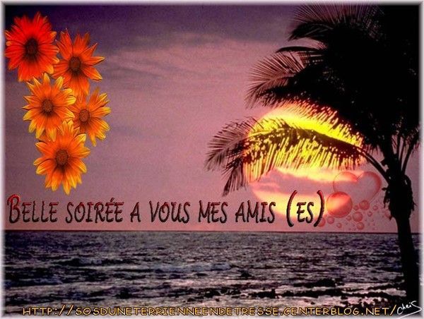 bonne nuit !!! - Page 18 8907eff0