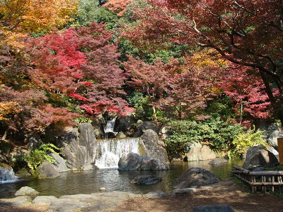 أجمل حدائق اليابان DSC05626