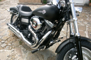 et voici la petite dernière, Dyna Fat Bob 2009 ! Dyna-003v