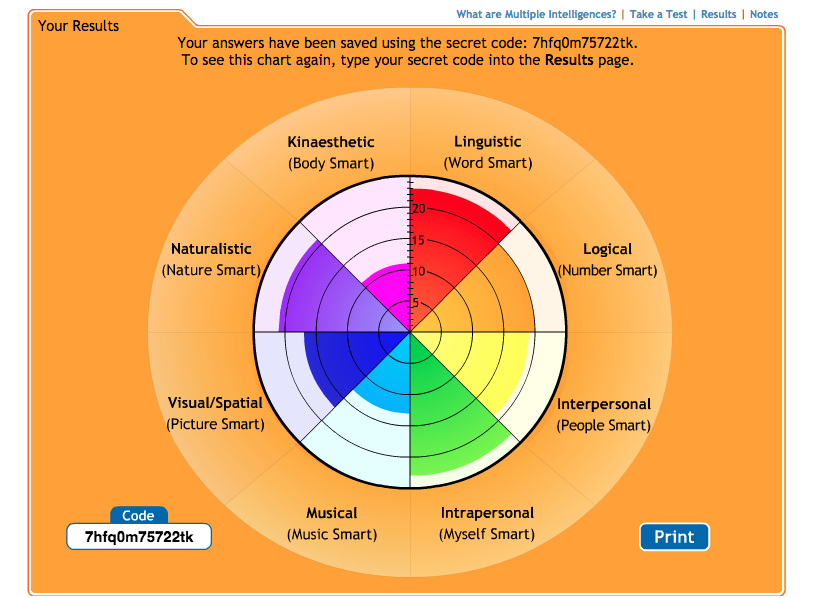 Les intelligences multiples: tous intelligents ! | Bruno HOURST | TEDxLIleSaintDenis Screen-Shot-2015-06-11-at-3.08.45-PM