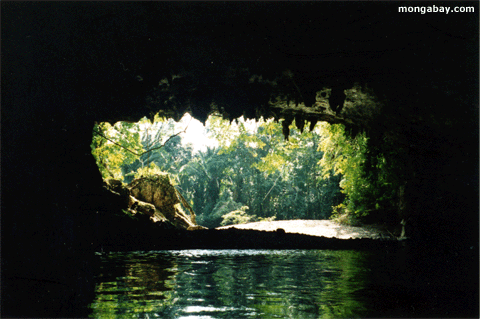 Пещерата Cave