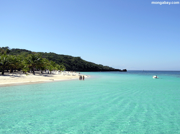 Jūra. Roatan_beach_36