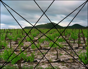 Visite commentée de la photo "Arboras, Hérault, Mai 2007" de raymond Depardon PIC_FIBO3