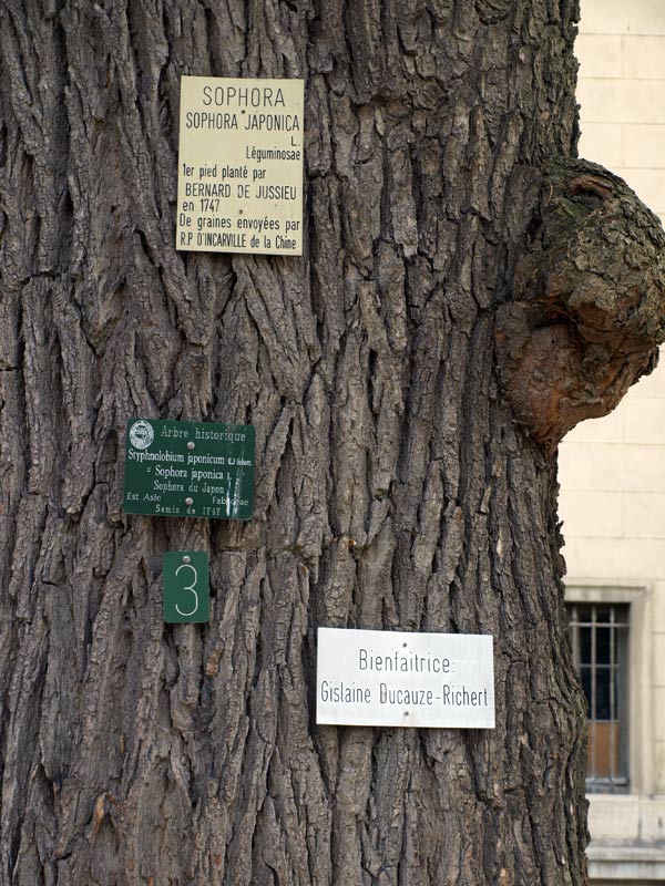 Commentaires sur le concours, photos hors concours ... Arbre1