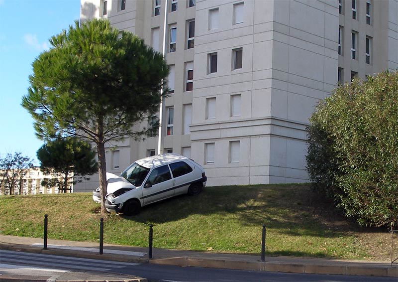 Commentaires sur le concours, photos hors concours ... Arbre_voiture