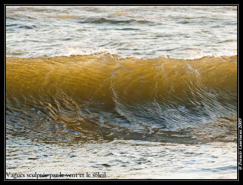 Vagues dans le vent et le soleil d'hiver Vagues1