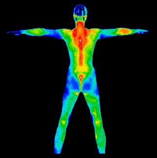 Risques liés aux scanners corporels Body-scan_eternal-health.1263363968