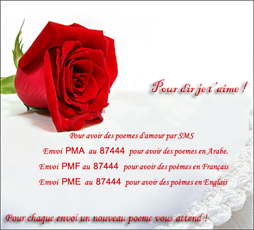 jeux du poeme - Page 10 92297d63