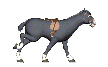 Concerning Admins - Page 6 Horse-clipart-animation-16