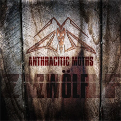 Anthracitic Moths - Zwölf (2012) Anthracitic_Moths_-Zwolf