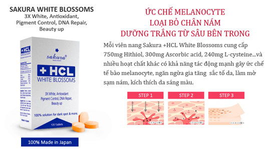 Viên uống nở ngực Pueraria Blooming - Giải pháp tăng vòng 1 Vien-uong-trang-da-tri-nam-sakura-hcl-white-blossoms-3%281%29