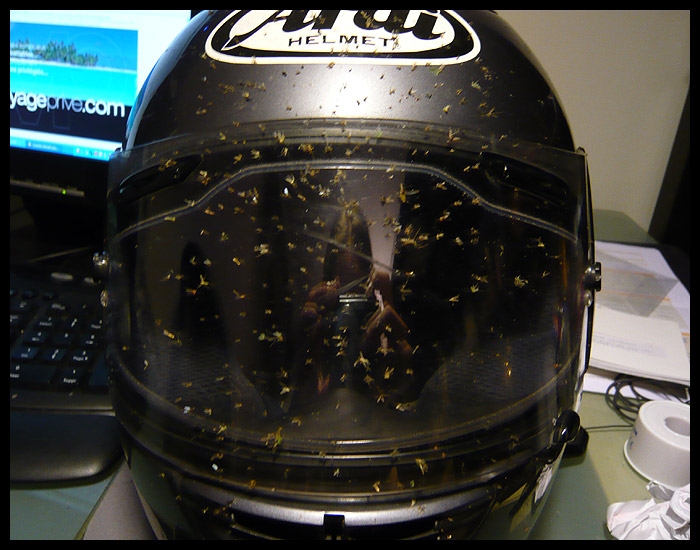 ARAI = Arme Redoutable Annihilatrice d'Insectes Moucherons