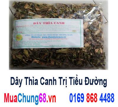 Bệnh tiểu đường ở người cao tuổi và cách chữa trị hiệu quả Dythacanhsch0