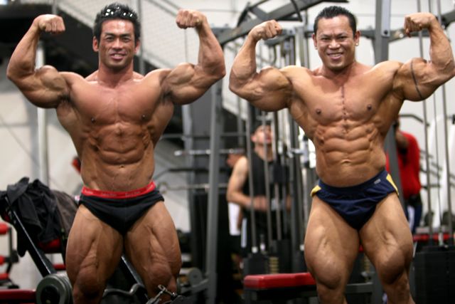 War Of Couple Bodybuilder 4724_7_1-1